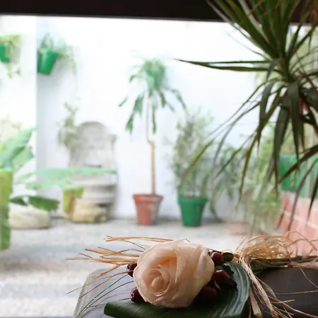 Gasthof Hospederia Luis De Gongora