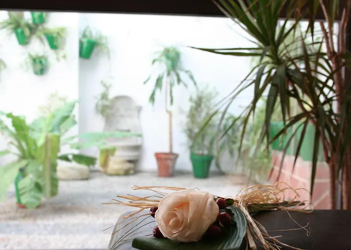 Gasthof Hospederia Luis De Gongora