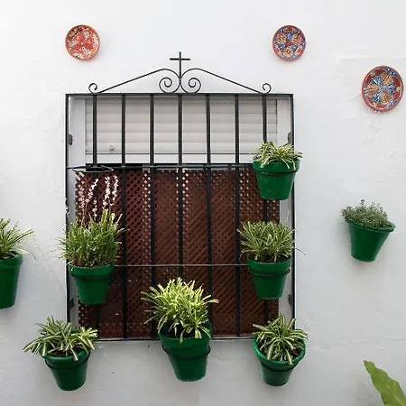 Hospederia Luis De Gongora